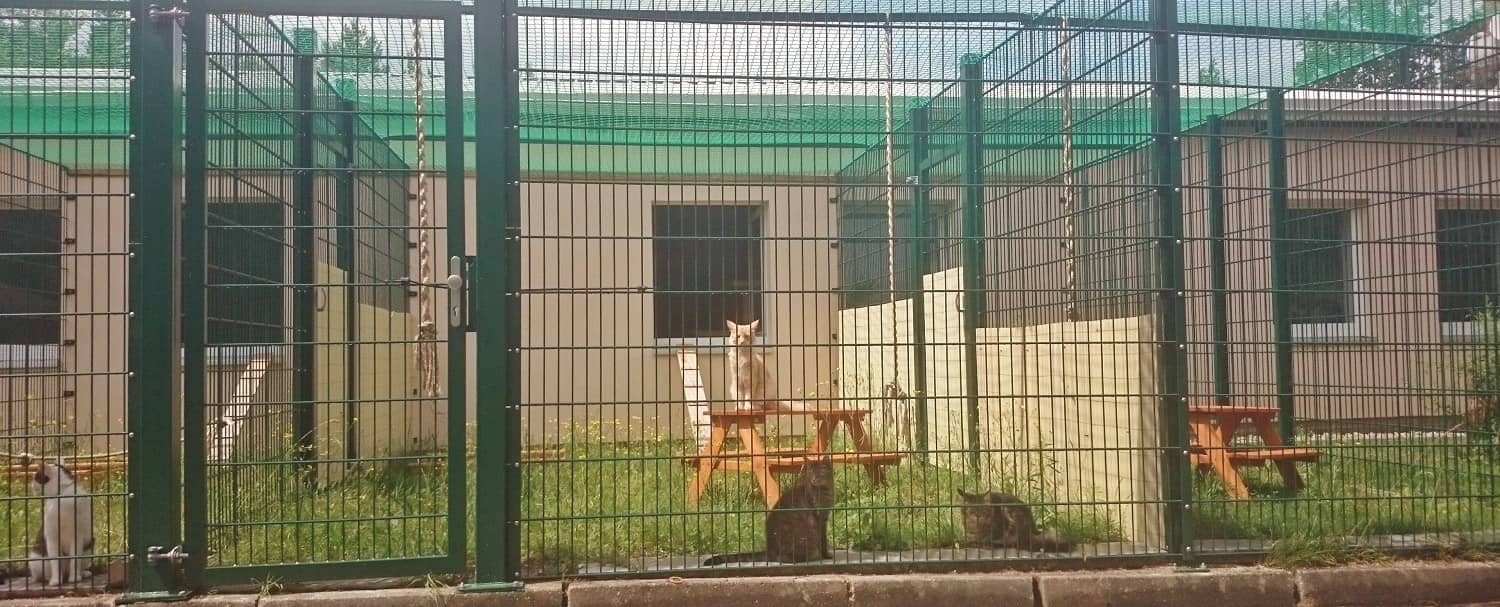 Blick durch den Zaun in das überdachte Katzen-Freigehege mit Sitzbänken