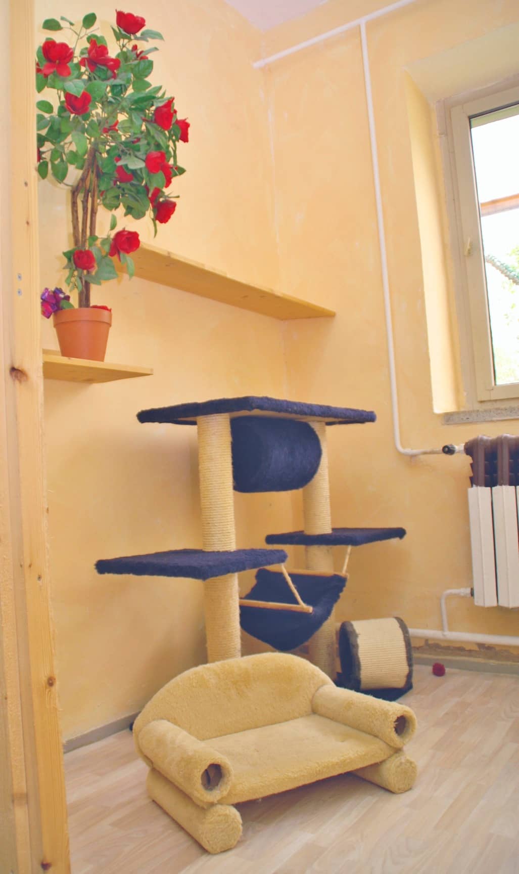 Katzenzimmer mit hohem Kratzbaum, Katzensofa und Fenster