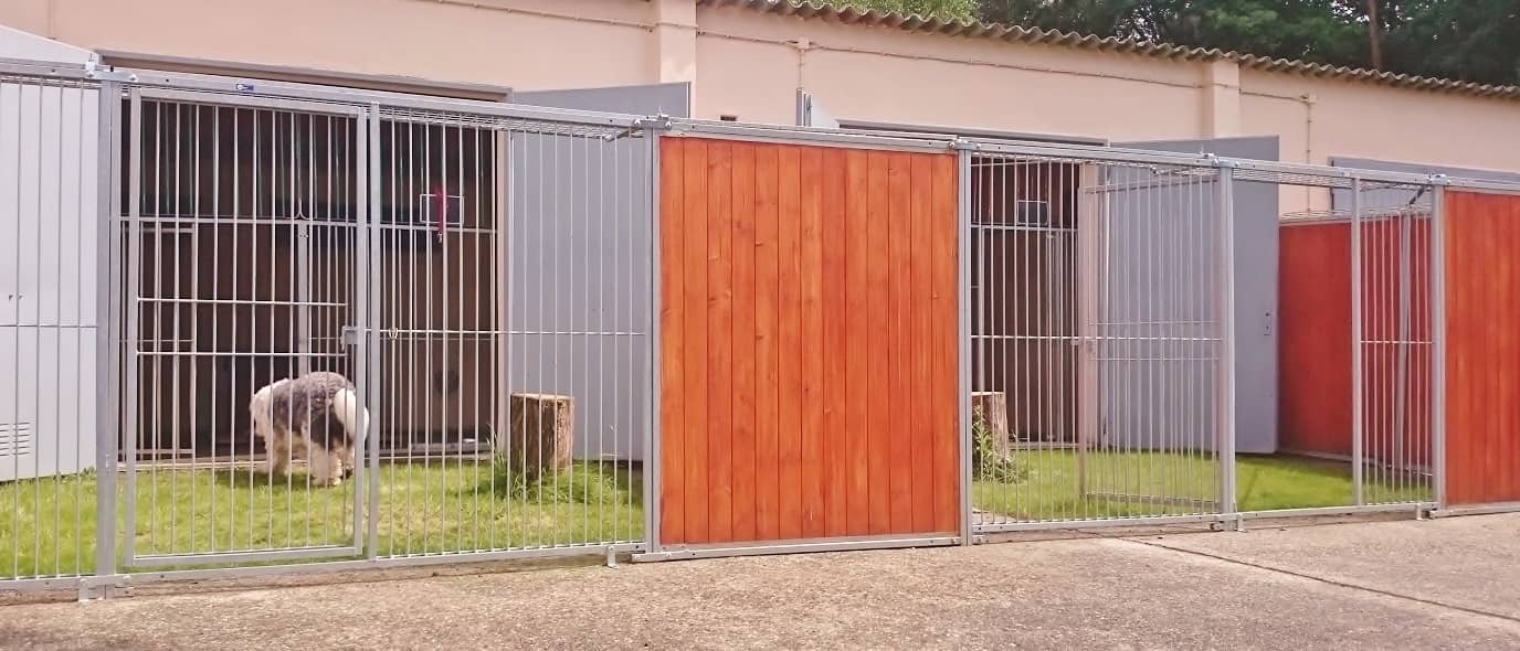 Zwingeranlage mit Gitterelementen, Holzsichtschutz und Rasenauslauf, ein Hund steht im Auslauf