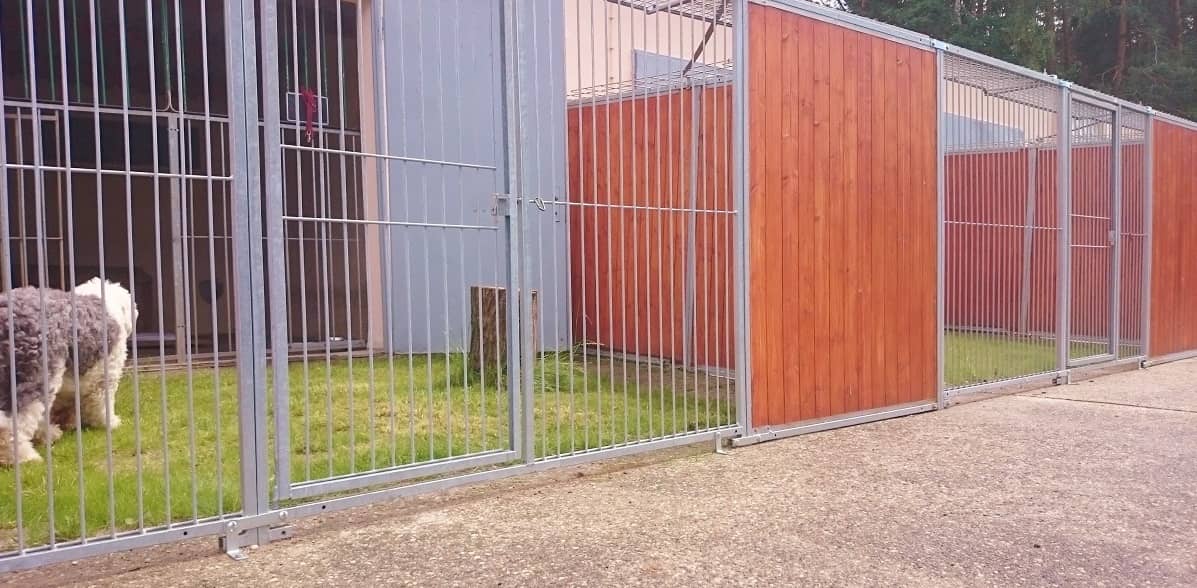 Reihe der Außenzwinger mit begrünten Ausläufen, ein zottiger Hund am Gitter